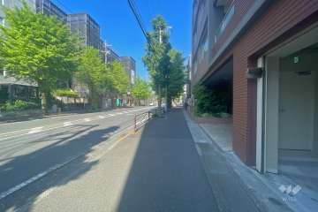 敷地南側の前面道路（東側から）