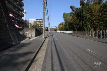 敷地南東側の前面道路(南西側から)