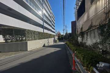 敷地西側の前面道路（北側から）