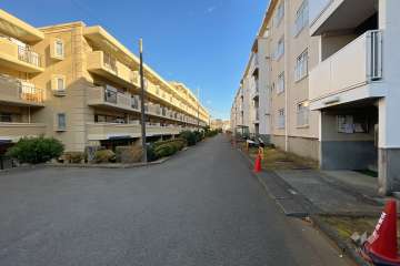 敷地南側の前面道路（西側から）