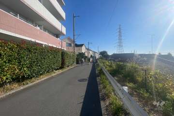 敷地西側の前面道路（北側から）