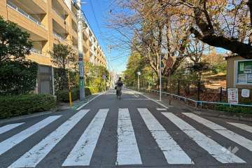 敷地の東側前面道路（南側から）