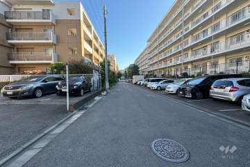 敷地の南側前面道路（西側から）