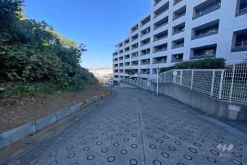 敷地西側の前面道路（南側から）