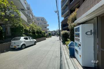 敷地東側の前面道路（北側から）