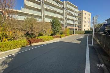 敷地南側の前面道路（西側から）