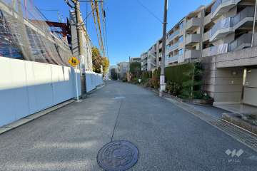 敷地北側の前面道路（西側から）