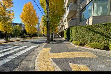 敷地南側の前面道路（東側から）