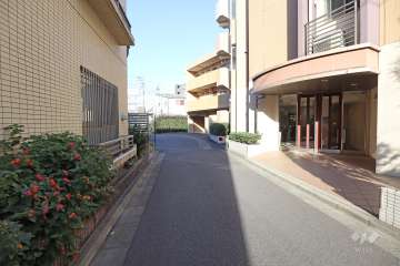 敷地北西側の前面道路（南西側から）