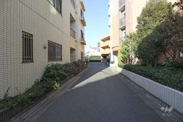 敷地東側の前面道路