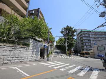 敷地南東側の前面道路