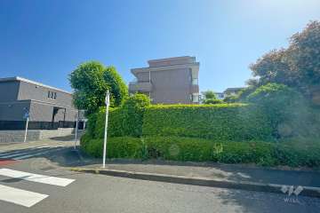 敷地南側の前面道路（西側から）