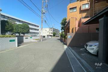 敷地北側の前面道路（西側から）