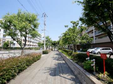 敷地北側の前面道路。