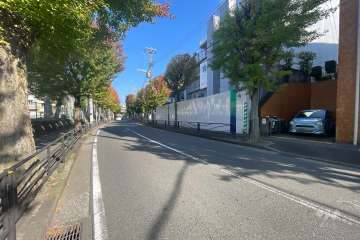 敷地の西側前面道路（北側から）