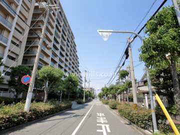 D棟の目の前の敷地東側の前面道路