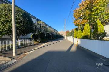 敷地北側の前面道路（東側から）