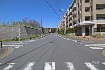 敷地南西側の前面道路（南東側から）