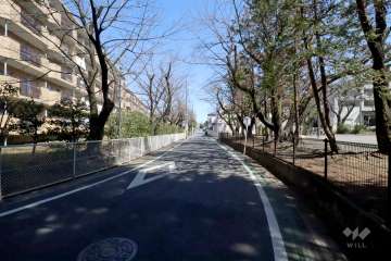 敷地南側の前面道路