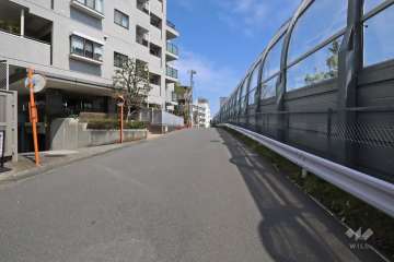 敷地東側の前面道路（南側から）