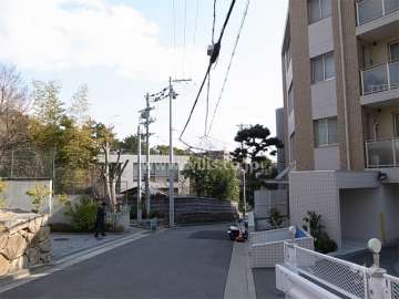 敷地北側の前面道路。やや高台にあります。