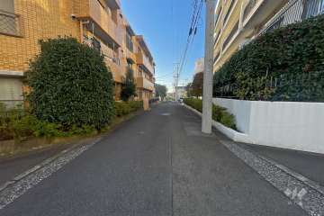 敷地西側の前面道路（北側から）