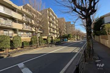 敷地南西側の前面道路（北西側から）