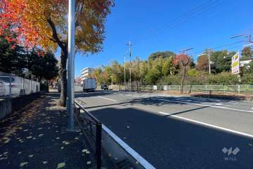 敷地の北側前面道路（東側から）