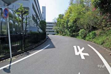 敷地の北側道路(東側から)