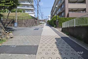 敷地の南東側道路(南西側から)