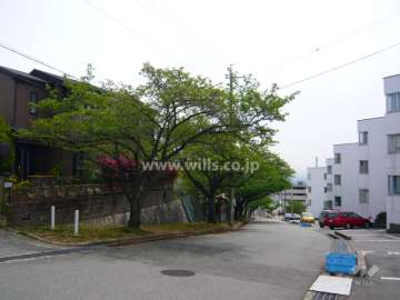 建物の北側は桜並木に面しています。