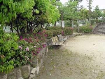 敷地南側にある公園