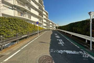 敷地南側の前面道路（西側から）