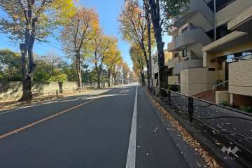 敷地北側の前面道路（東側から）