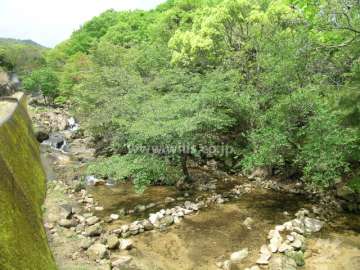 敷地のすぐ南側を流れる夙川