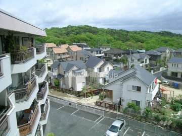 奥に見える林は『北山緑化植物園』