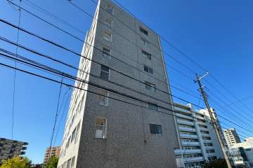 東急鷺沼ドエルの外観（北側から）