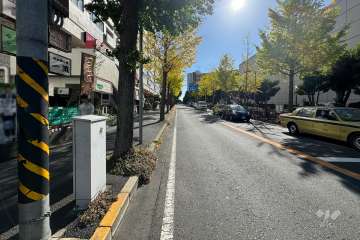 敷地南西側の前面道路（北西側から）