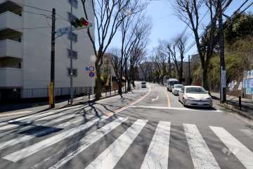 敷地西側の前面道路