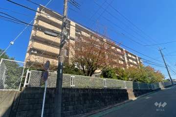 鷺沼ローラスの外観（南西側から）