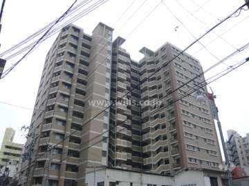 ネバーランド西宮