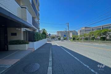 敷地西側の前面道路（北側から）