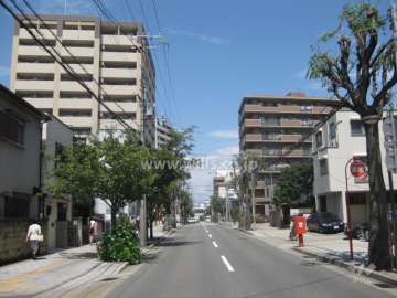 マンション東側の道路