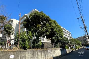 第２ウインザーハイム鷺沼の外観（南西側から）