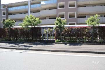 駐輪場（屋根あり