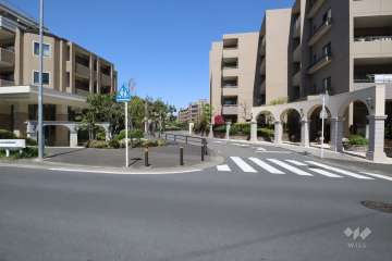 敷地南西側の前面道路