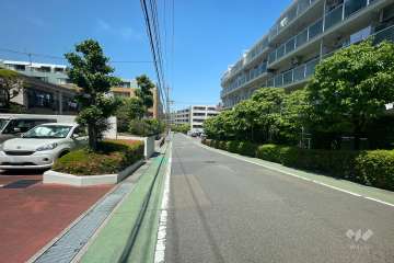 敷地東側の前面道路（南側から）