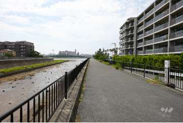敷地東側の前面道路(北側から)