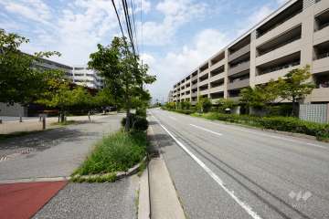 敷地北側の前面道路(東側から)