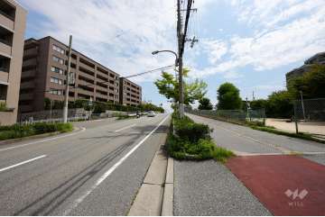 敷地北側の前面道路(西側から)